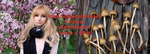 ешки Алексеевка