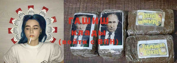 шишки Алексин