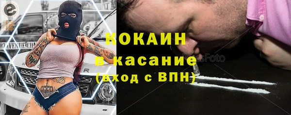 шишки Алексин