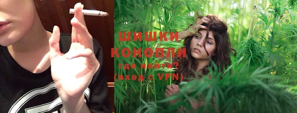 шишки Алексин