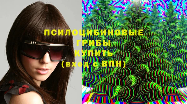 шишки Алексин