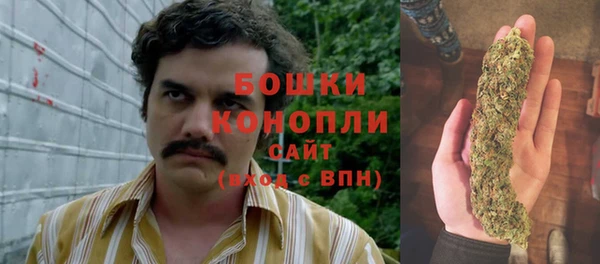 шишки Алексин