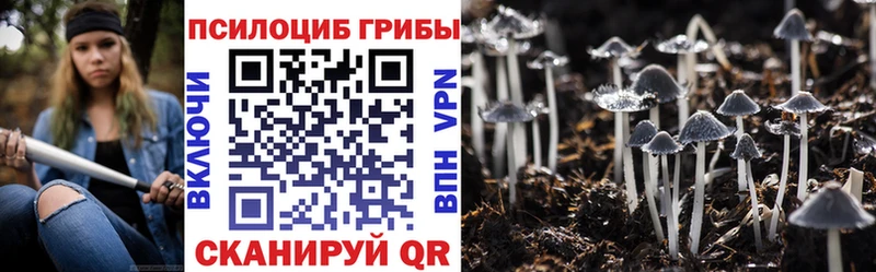 Псилоцибиновые грибы GOLDEN TEACHER  Перевоз 